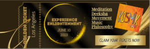 ticket-300x99
